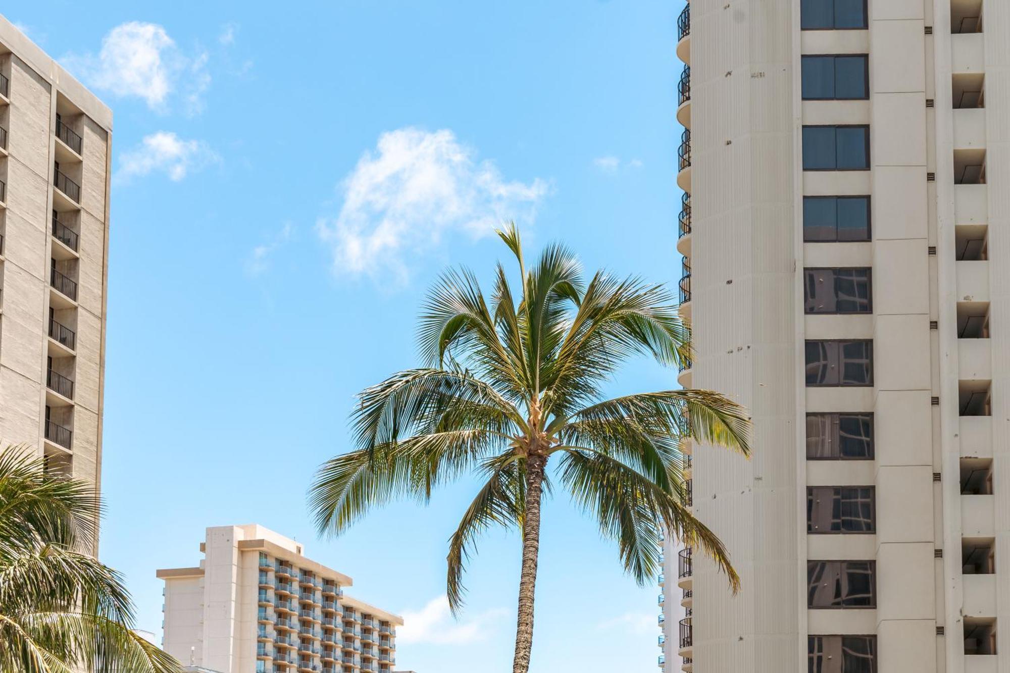 Appartement Beautiful Ocean And Diamond Head Views With Parking à Honolulu Extérieur photo